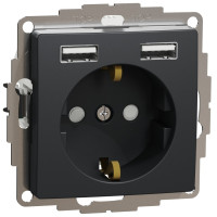 Розетка силова Schneider Sedna з USB A+A чорний SDD114052