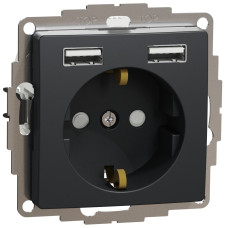 Розетка силовая Schneider Sedna с USB A+A черный SDD114052