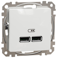 Розетка USB Schneider Sedna A+A белый SDD111401