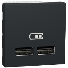 Розетка USB Schneider Unica двойная A+C 2 модуля NU301854