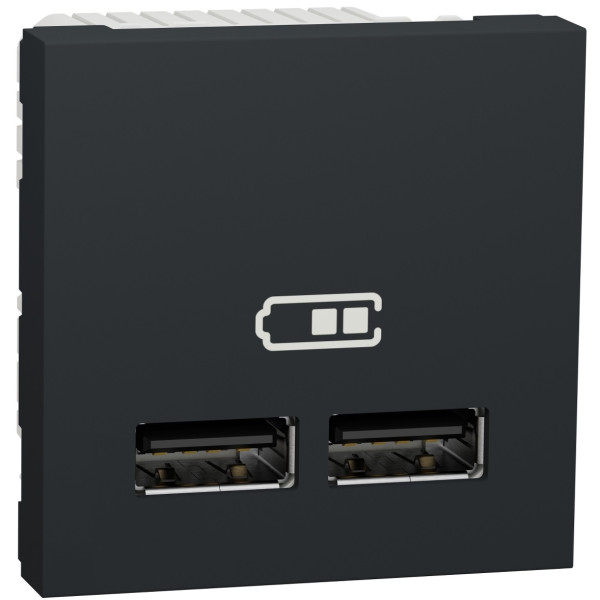 Розетка USB Schneider Unica подвійна, тип А, 2 модуля NU341854