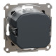 Світлорегулятор Schneider Asfora поворотний LED антрацит EPH6800171