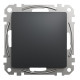 Заглушка Schneider Sedna Design чорний SDD114904