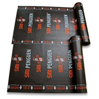 Гідроізоляційний самоклеючий килим MEMBRANE 1×15 м (Туреччина) Гідроізоляційний самоклеючий килим MEMBRANE 1×15 м (Туреччина)