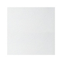 Плита підвісної стелі Armstrong Plain Tegular 600х600х15
