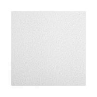 Плита підвісної стелі Armstrong BioGuard Plain Tegular 24 600x600x15