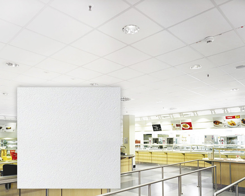 интерьер с подвесным потолком Armstrong Plain Board